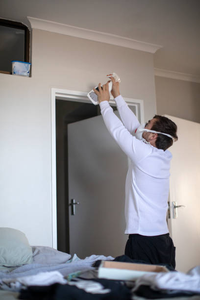 Best Environmental Consulting for Mold Prevention  in Burlington, CO