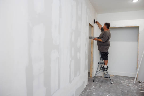 Best Post-Remediation Verification Testing  in Burlington, CO