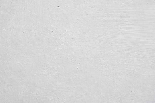 Trusted Burlington, CO Mold Removal Experts